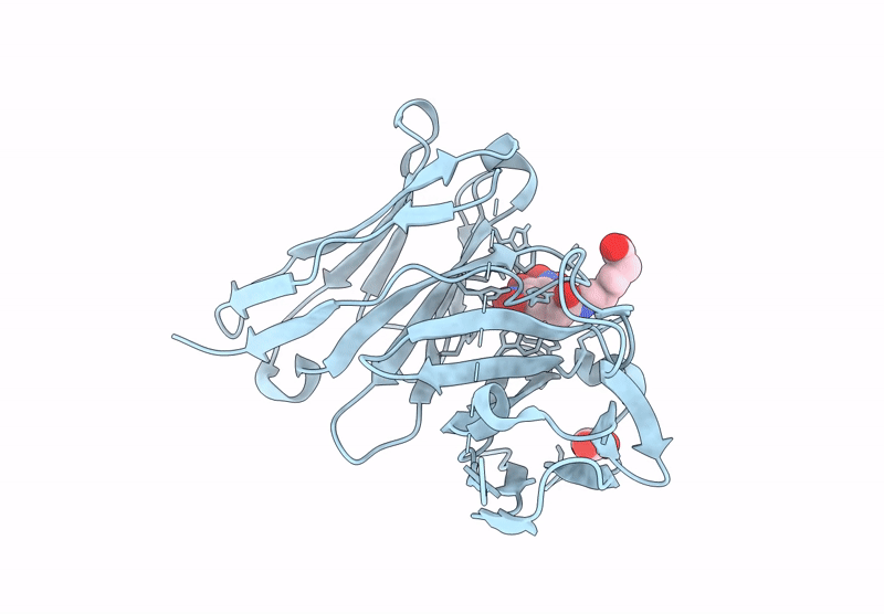 9UDT image