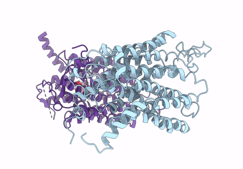 9UDV image