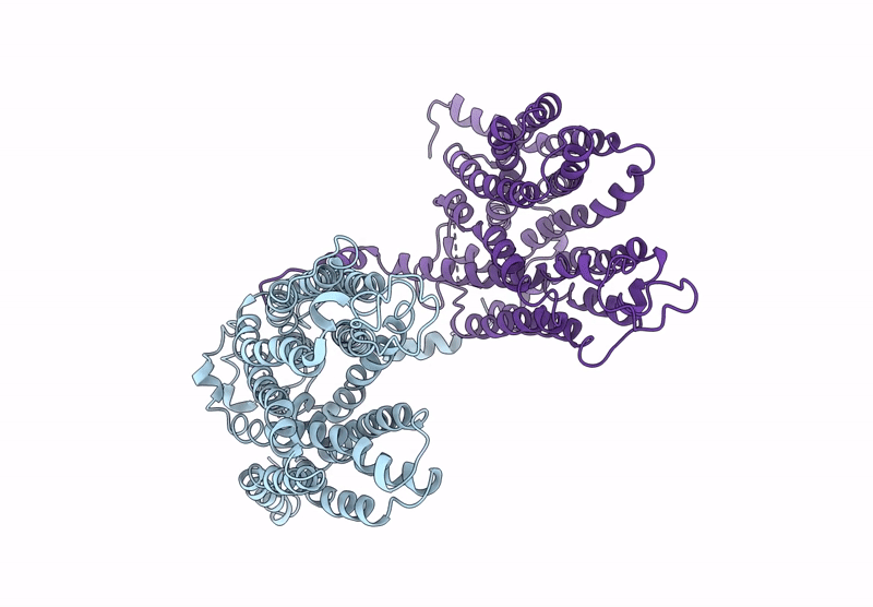 9UDX image