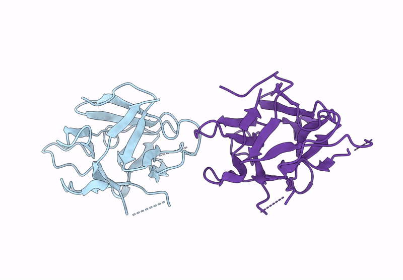 9UDZ image