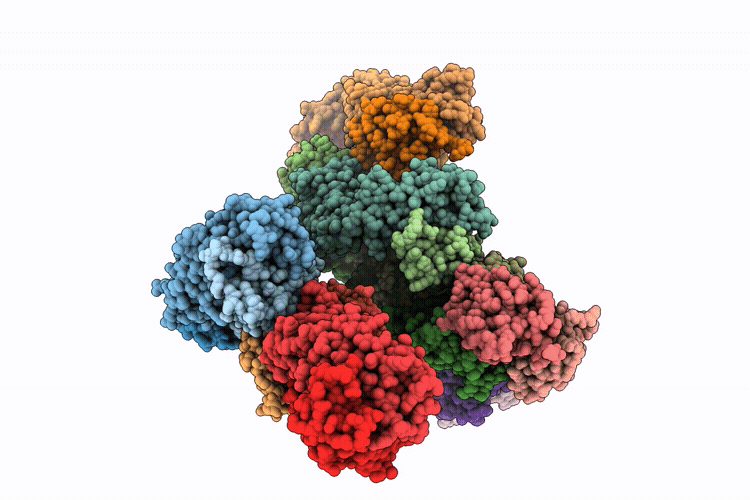9UE8 image
