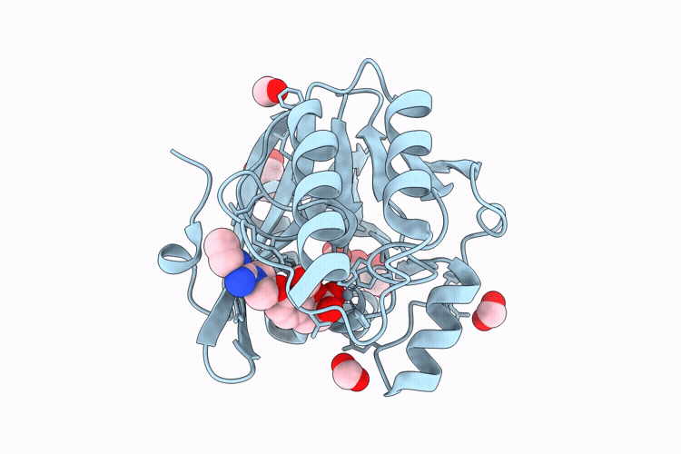 9UEM image