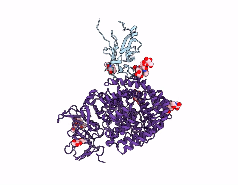 9UEP image