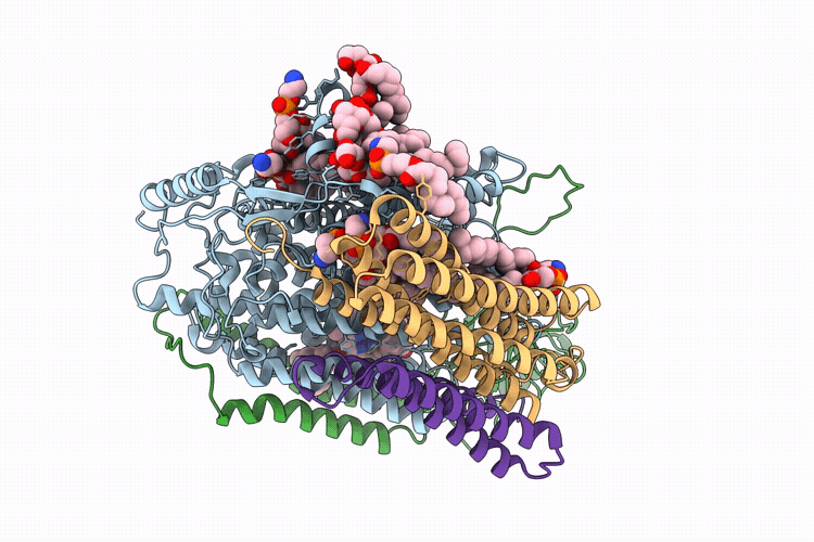 9UFV image