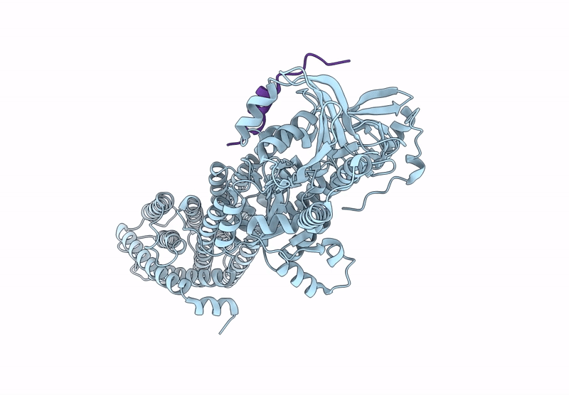 9UGB image