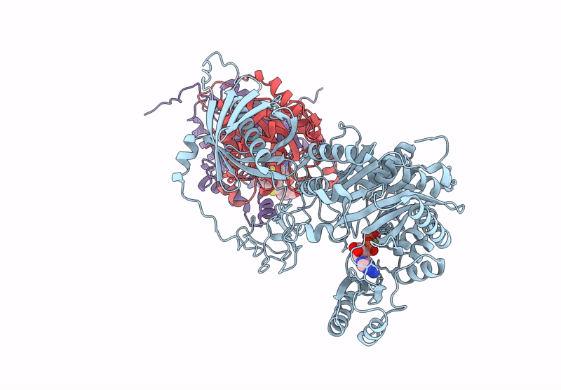 9UHB image