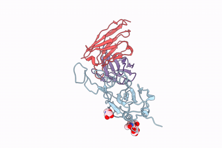 9UHG image