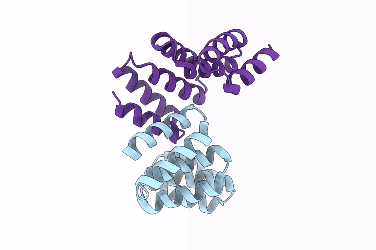 9UIB image