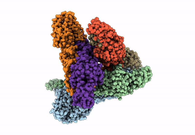 9UIH image