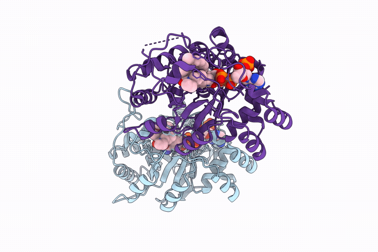 9UJ1 image