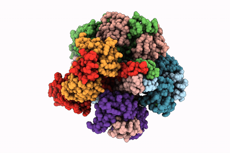 9UJ4 image