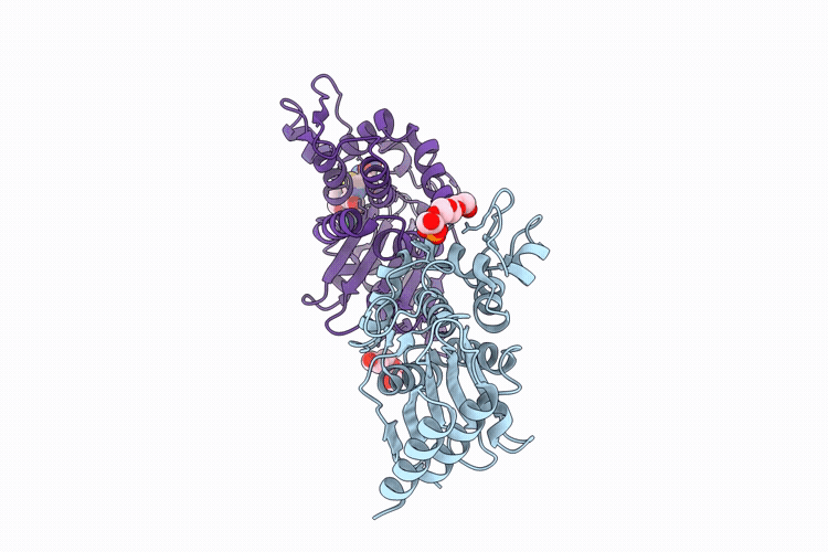 9UJB image