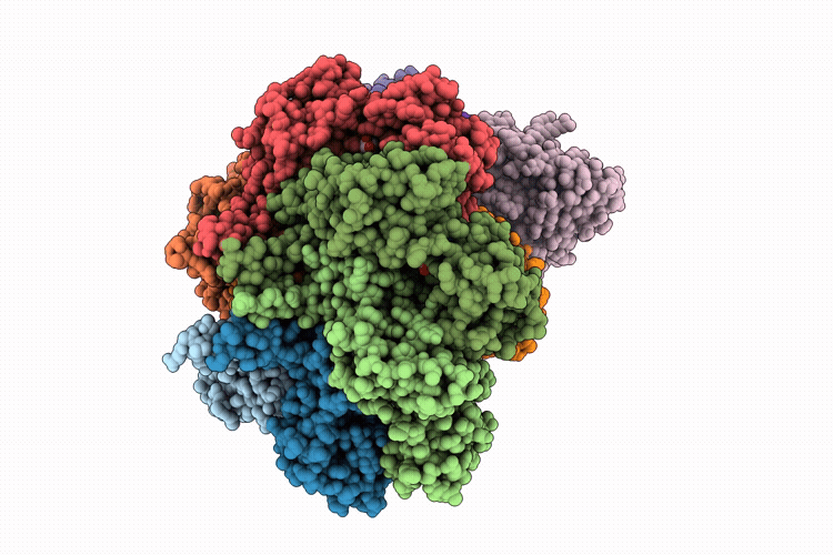 9UKI image