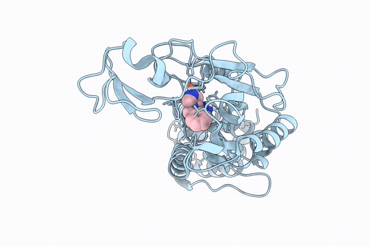 9ULF image