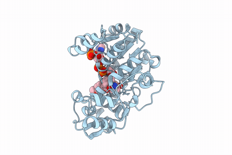 9UM2 image