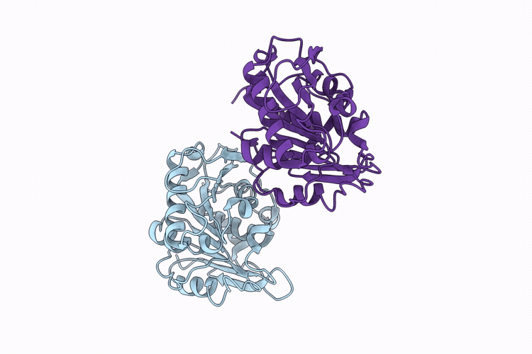 9UM8 image