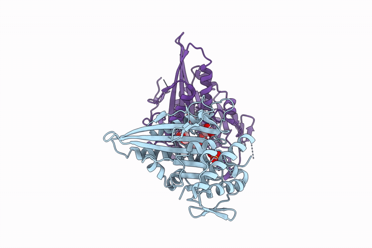 9UMN image