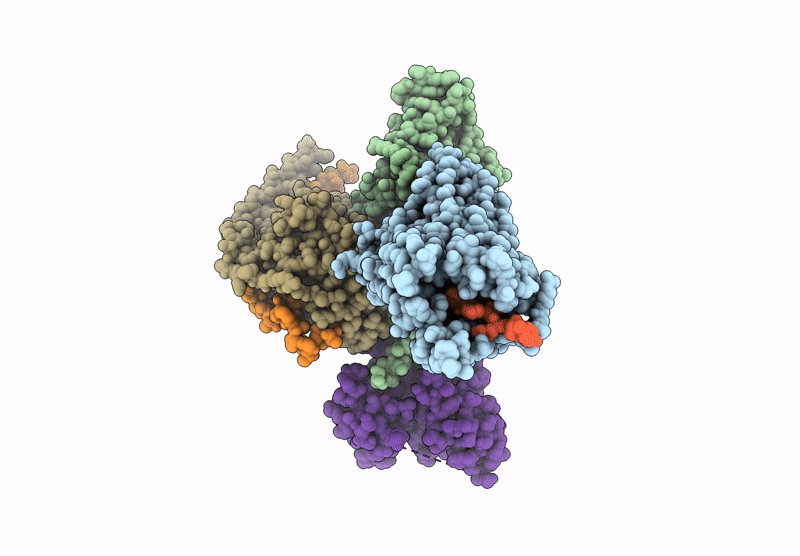 9UMX image