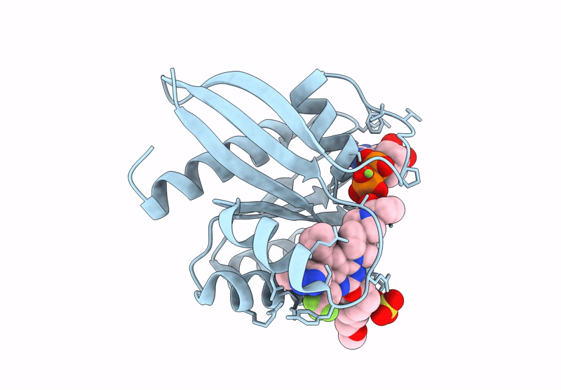 9UOH image