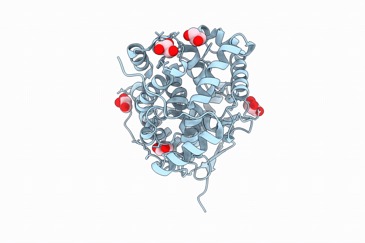 9UOM image