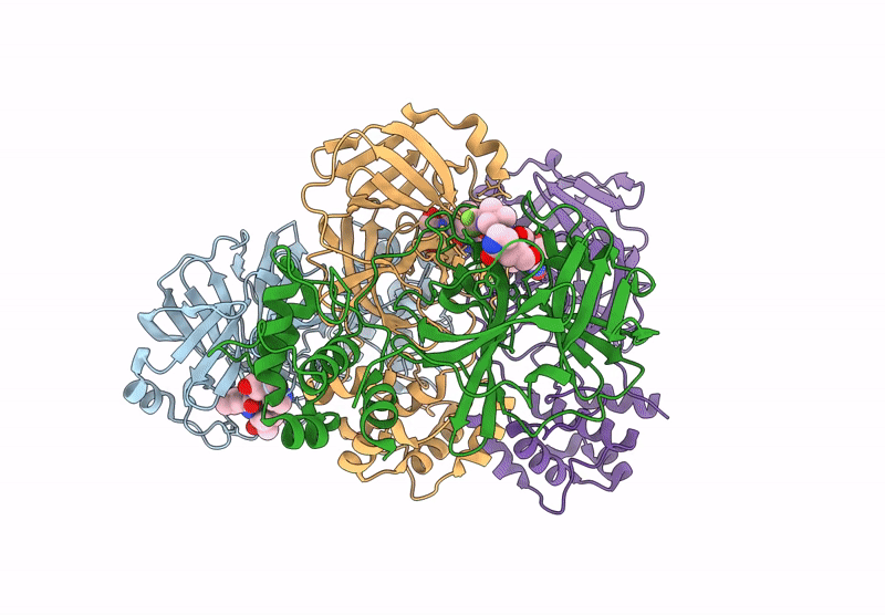 9UOP image