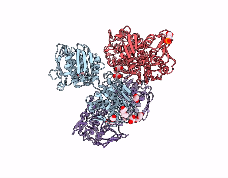 9UOW image