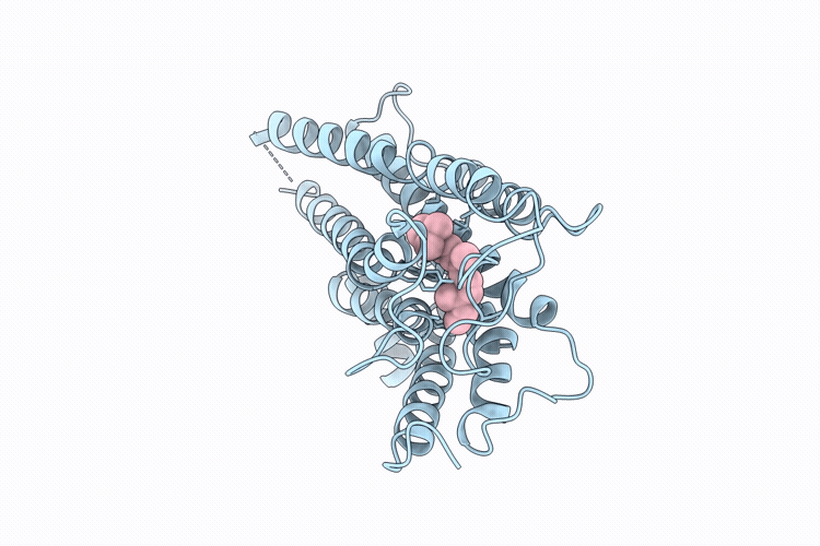 9UPO image