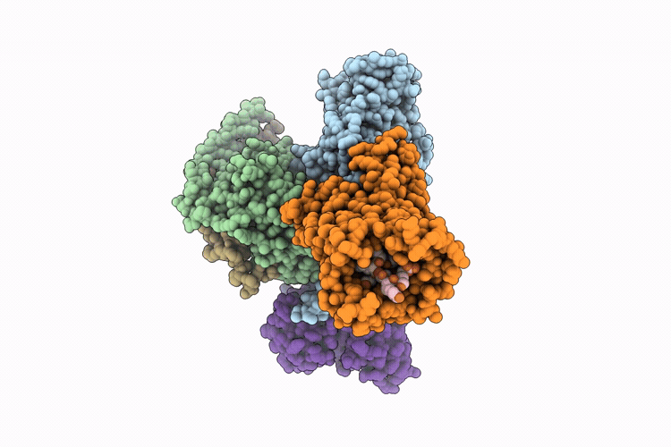 9UPV image