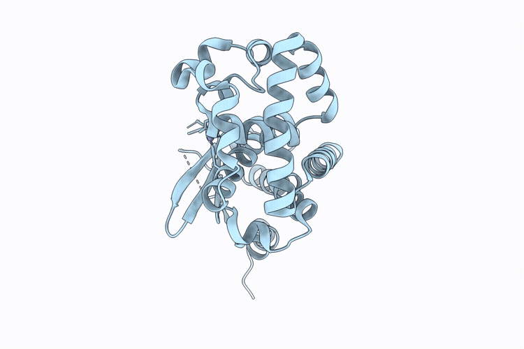 9URD image