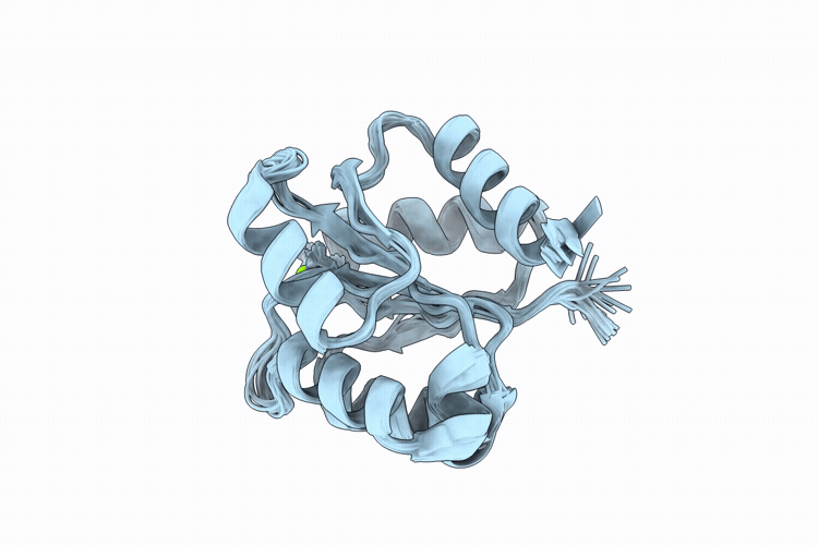 9URO image