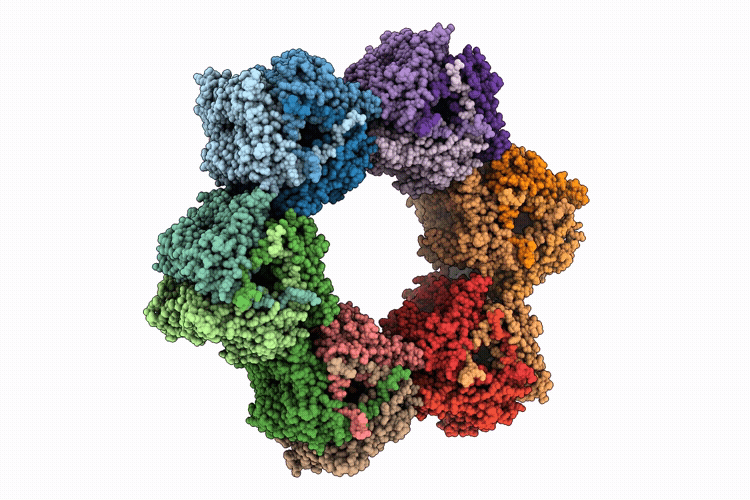 9USX image
