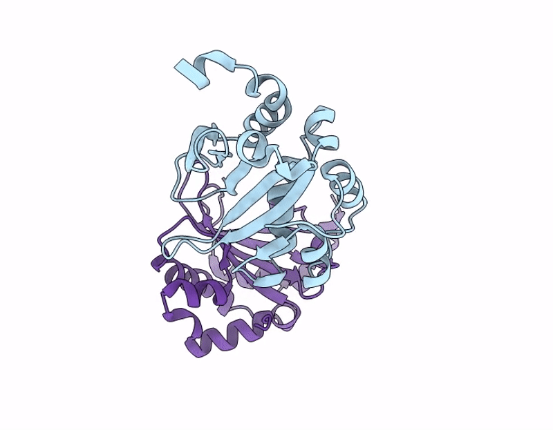 9UTM image