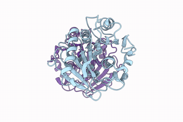 9UTZ image