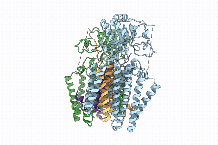 9UV2 image