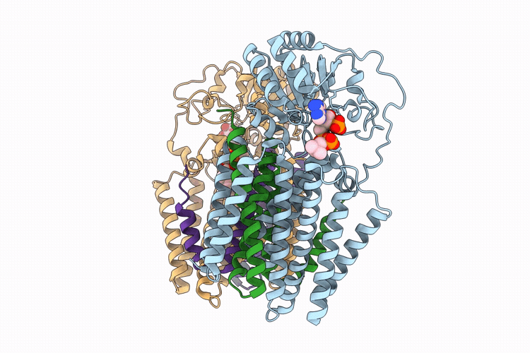 9UV3 image
