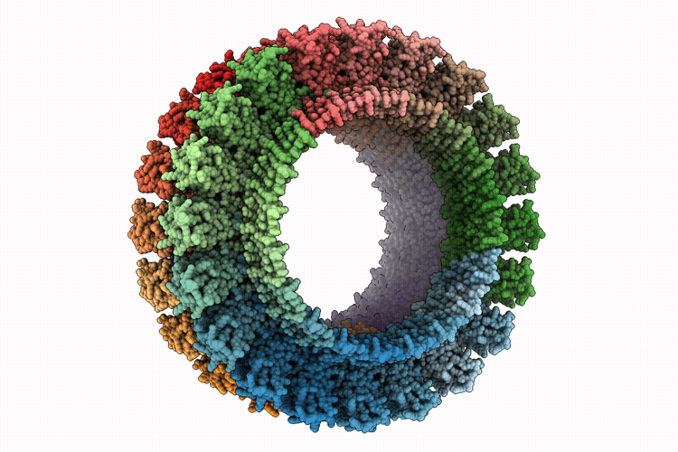 9UV9 image