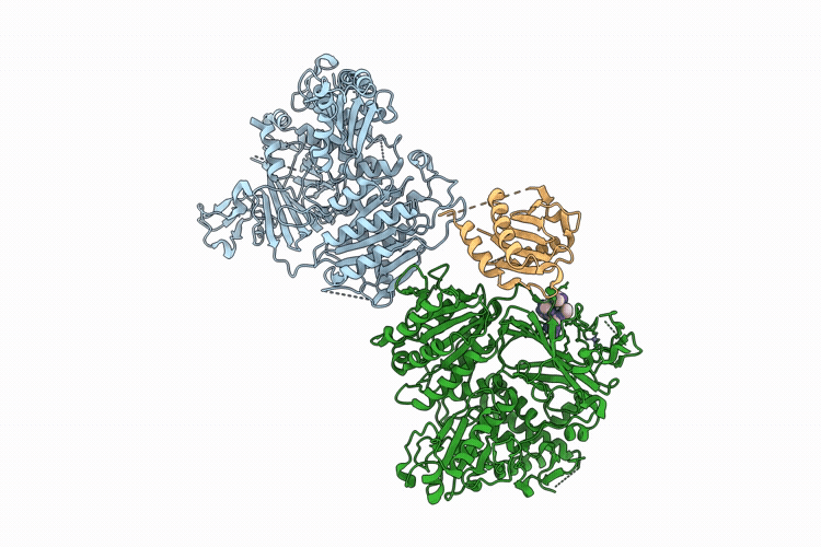 9UVD image