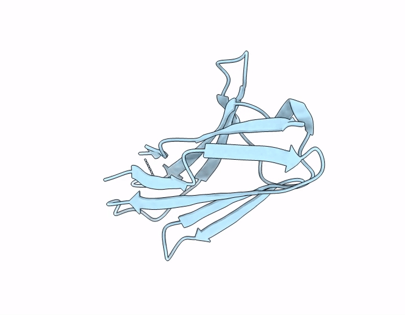 9UVH image