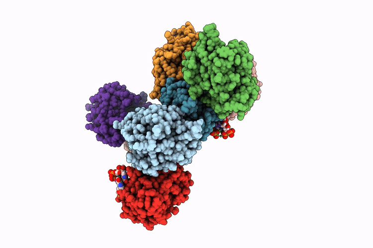 9UVL image