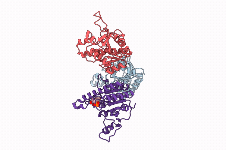 9UVN image