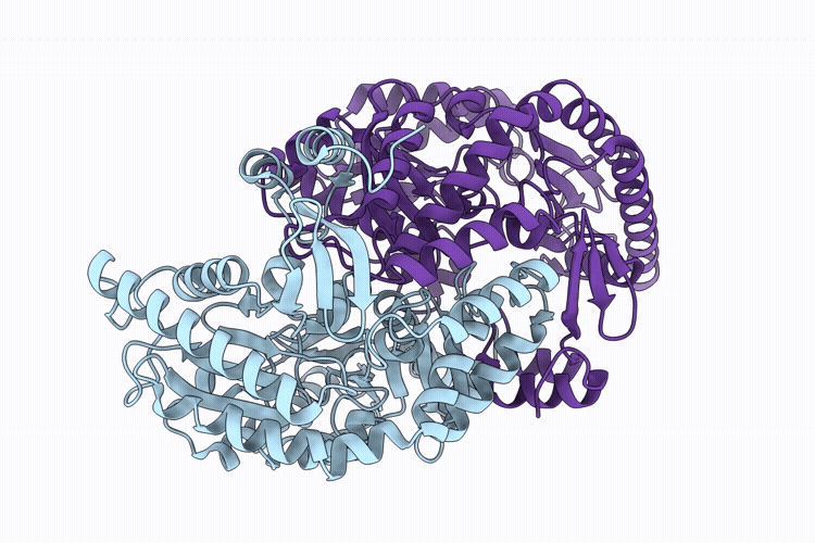 9UVS image