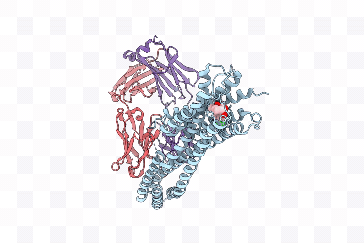 9UVV image