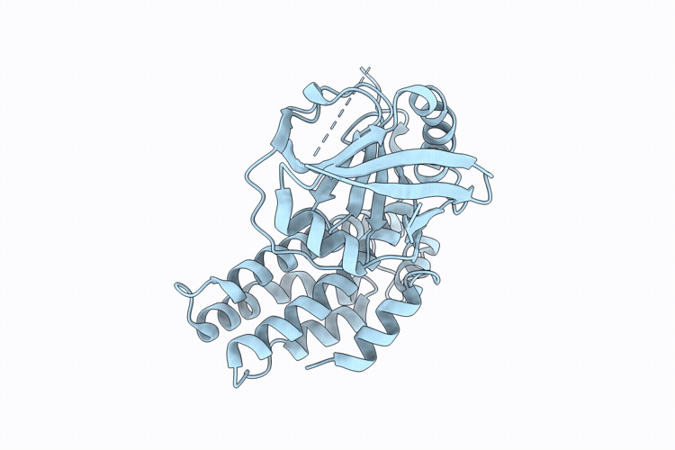 9UWA image