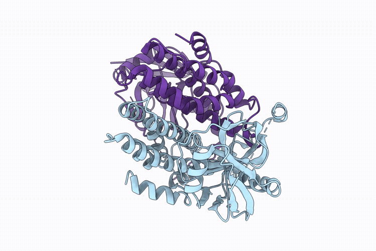 9UWB image