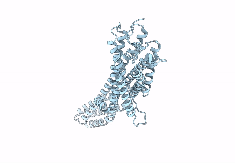 9UWD image
