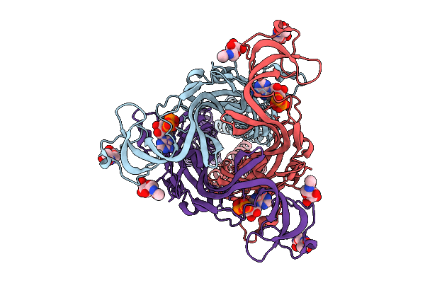 9UWY image