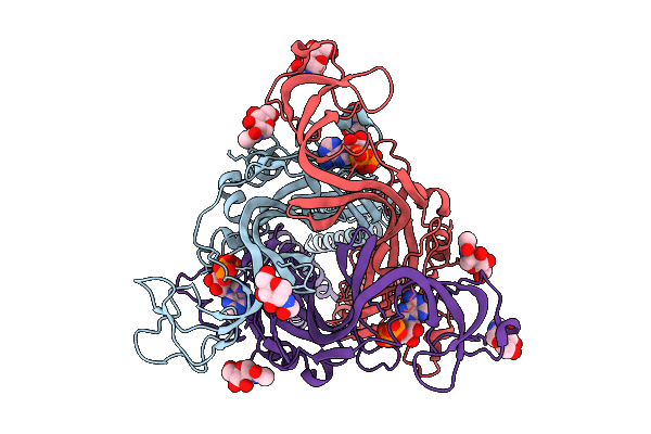 9UX2 image