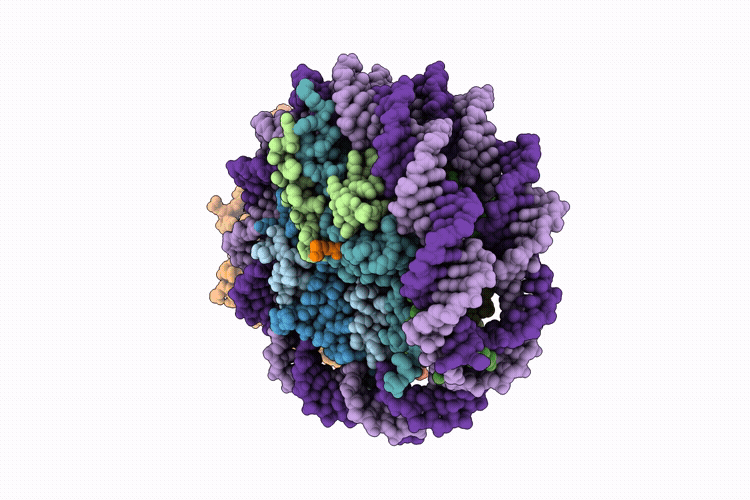 9UXA image