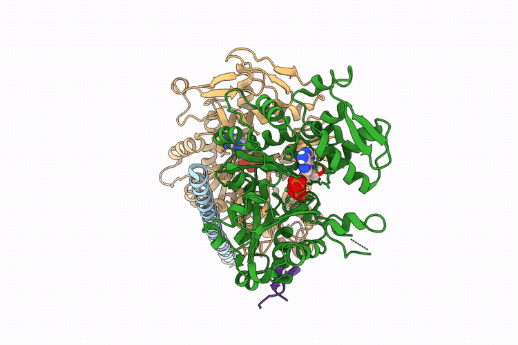 9UXB image