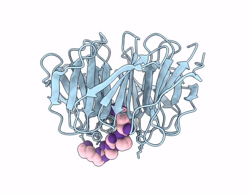 9UXM image